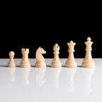 Castler Chess Pieces
